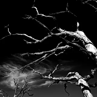 Ominous