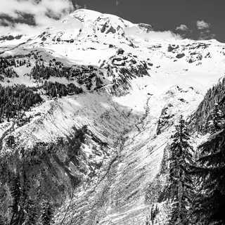 Rainier