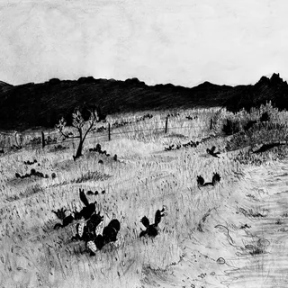 Palo Pinto