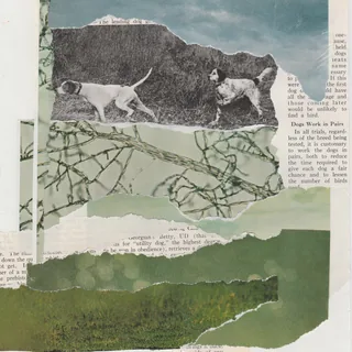The Leading Dog