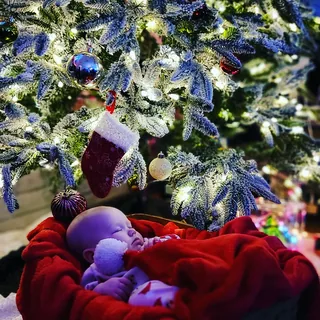 Magic of Christmas