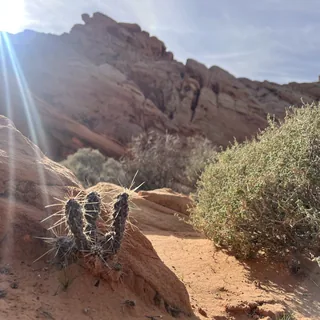 Valley of Fire