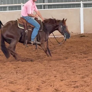 In the Saddle