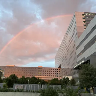 Rainbow over Parkland