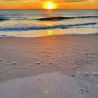 Joy Rising