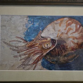 Nautilus