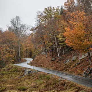 New Hampshire Fall
