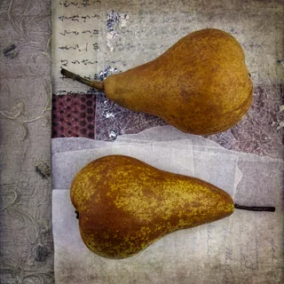 We Ripened Together