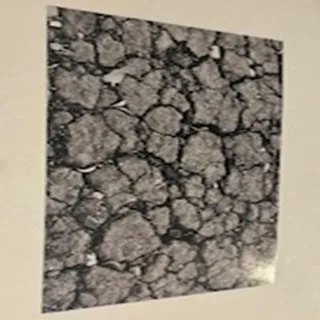 Dry Canvas
