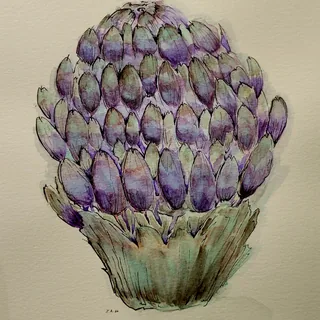 Artichoke