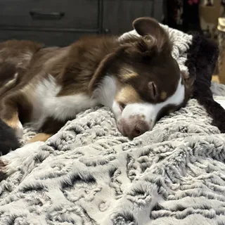 Completely content