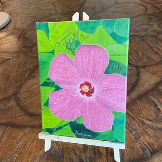 "Pink Hibiscus"