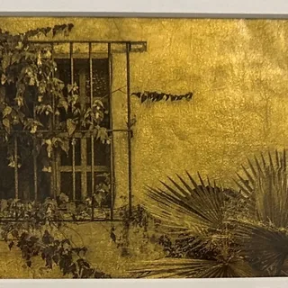 Window with Palms