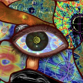 Mosaic of Innovation
