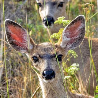 I see you.