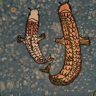 Koi Fish Cuddle