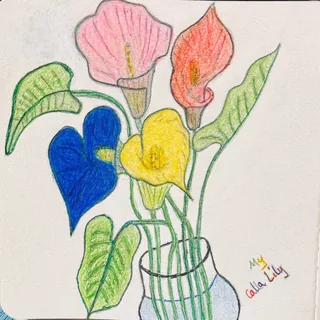 My Calla Lily 