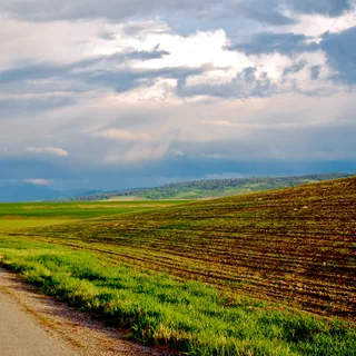 Ranchlands