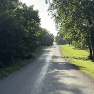 Choose which road to Travel