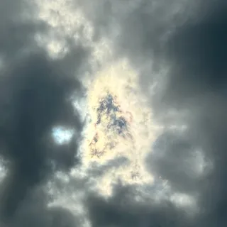 Portal