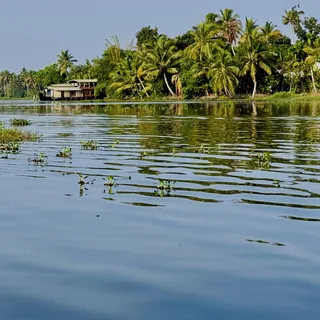 Backwaters of the tropics 