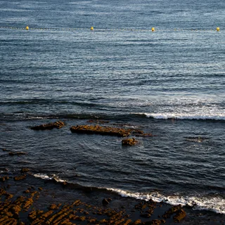 Waves