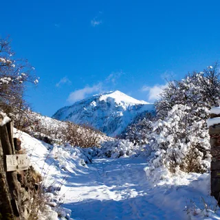 Avant l’Avalanche
