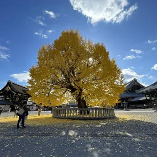 Colors of Japan
