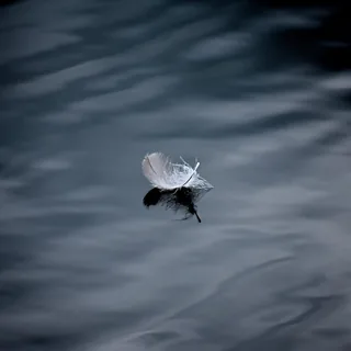 Light as a Feather
