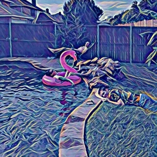 Boys of Summer