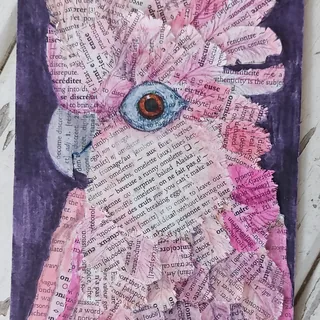 Written In Feathers