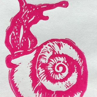 The Love Snail