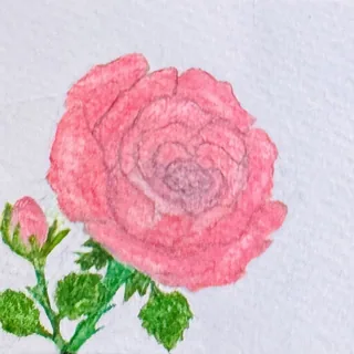 Thorns and Grace