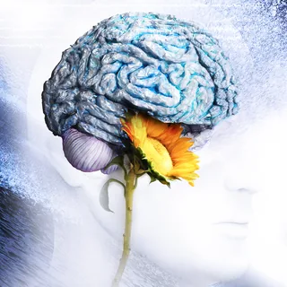 Brain Waves