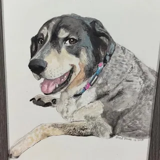 Dog