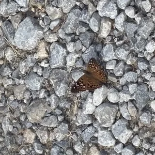 Hope and New Beginnings