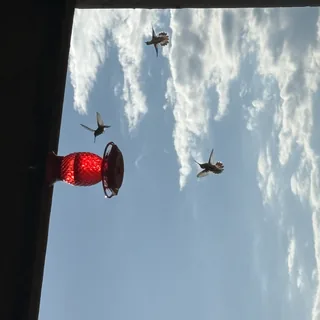 Humming Along