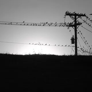 The Meeting